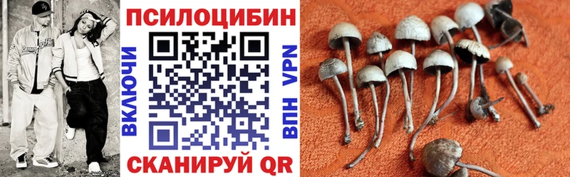 Купить где  Шенкурск  Галлюциногенные грибы MAGIC MUSHROOMS 