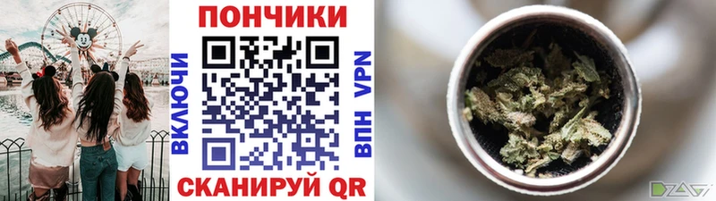Купить где Шенкурск Шишки марихуана семена